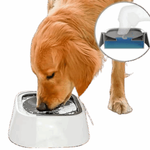 BEBEDERO PARA MASCOTAS removebg preview