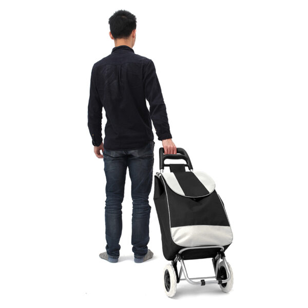CARRO COMPRAS PLEGABLE MERCADO1