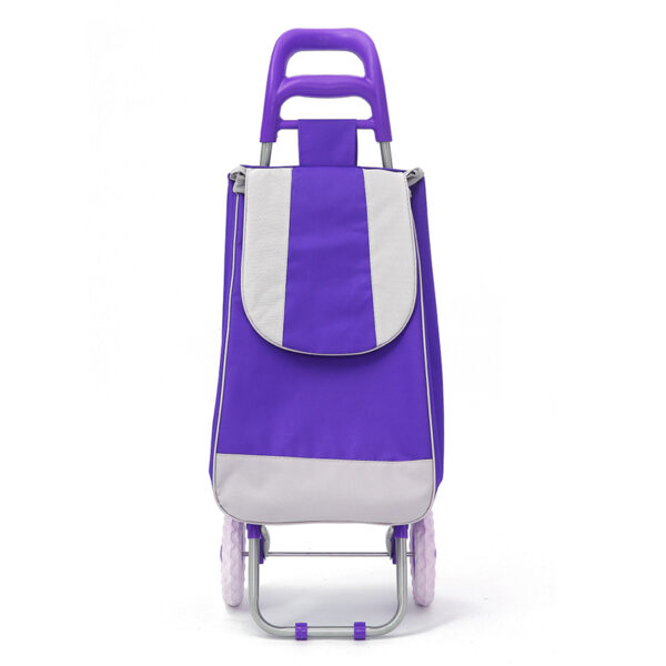 CARRO COMPRAS PLEGABLE MERCADO3