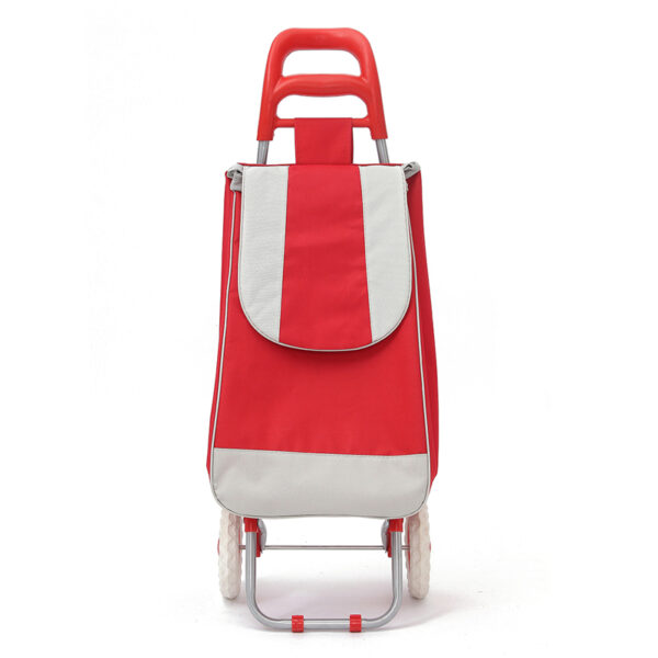 CARRO COMPRAS PLEGABLE MERCADO5
