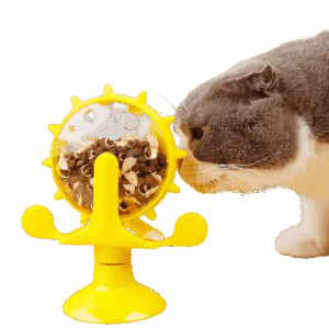 RUEDA DE COMIDA PARA GATOS2