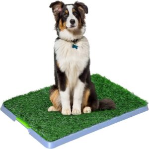 TAPETE GRANDE PARA MASCOTA ENTRENAMIENTO