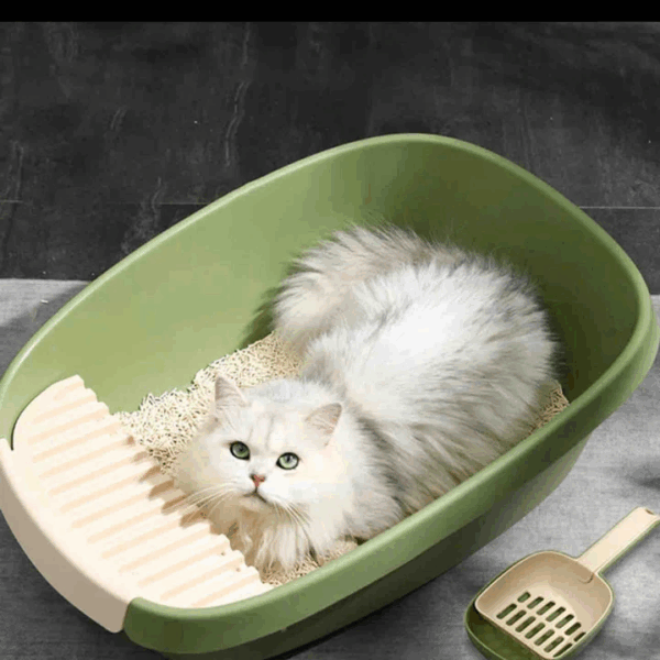 ARENERO PARA GATOS