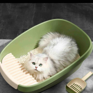ARENERO PARA GATOS