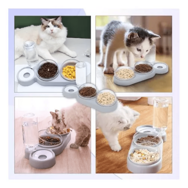 DISPENSADOR AUTOMATICO PARA GATOS1
