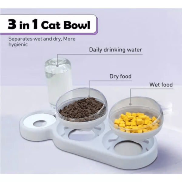 DISPENSADOR AUTOMATICO PARA GATOS2