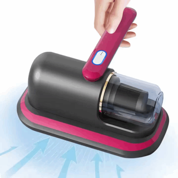 ASPIRADORA PORTABLE 1