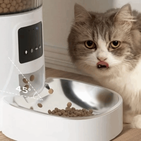 comedero inteligente para mascotas