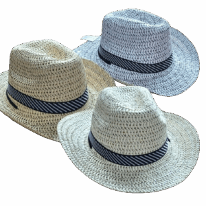 SOMBRERO removebg preview