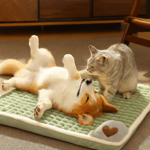 CAMA ORTOPEDICA PARA MASCOTAS 2