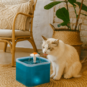 DISPENSADOR DE AGUA PARA MASCOTAS