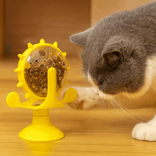 RUEDA DE COMIDA PARA GATOS